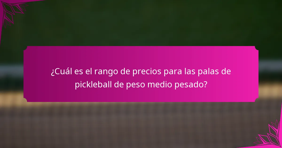 ¿Cuál es el rango de precios para las palas de pickleball de peso medio pesado?
