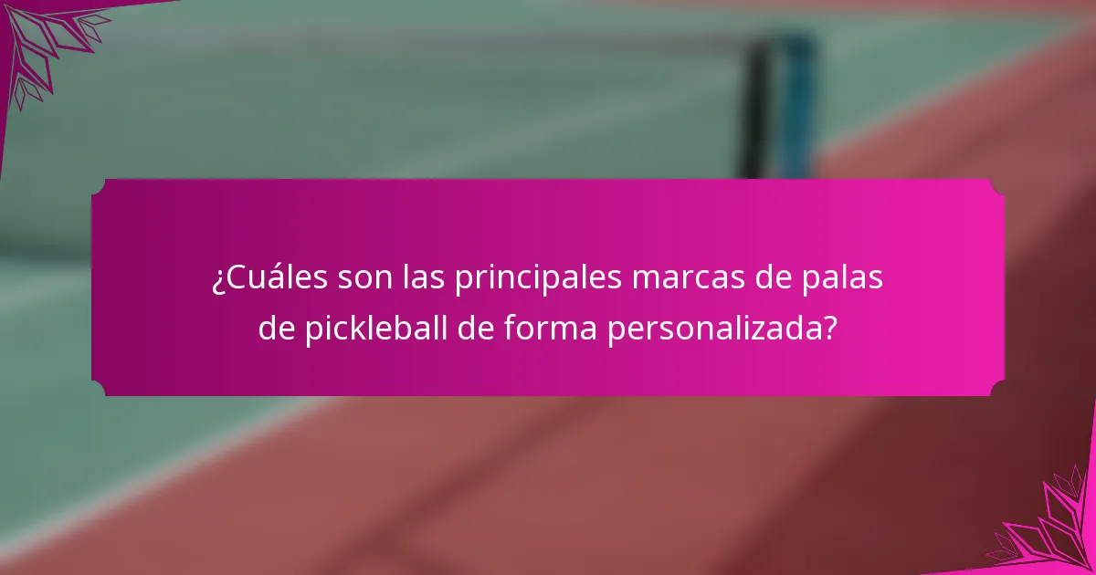 ¿Cuáles son las principales marcas de palas de pickleball de forma personalizada?