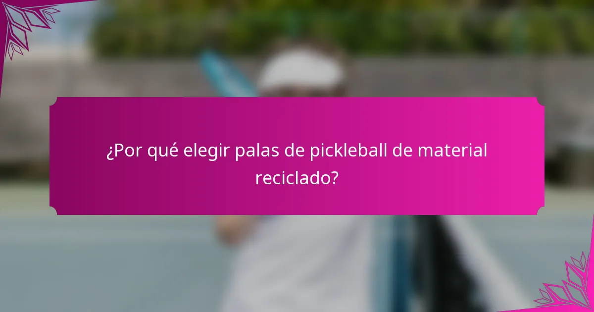 ¿Por qué elegir palas de pickleball de material reciclado?