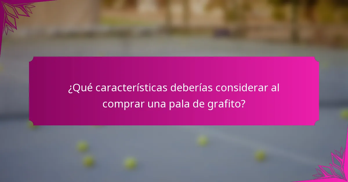 ¿Qué características deberías considerar al comprar una pala de grafito?