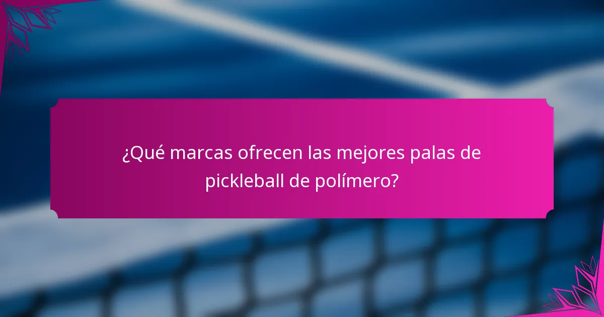 ¿Qué marcas ofrecen las mejores palas de pickleball de polímero?