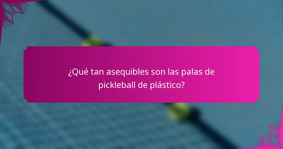 ¿Qué tan asequibles son las palas de pickleball de plástico?